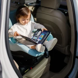 Sistema Avionaut AeroFIX RWF 2.0C con base IQ Orbit y Reductor