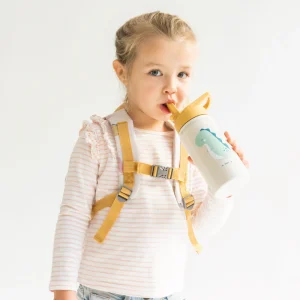 Botella Térmica Infantil con pajita 500ml | Dino